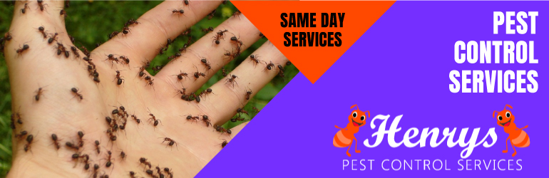 Pest Control Services