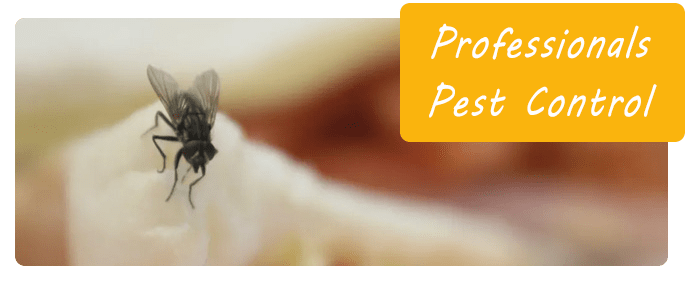 Professionals Pest Control