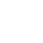 ant