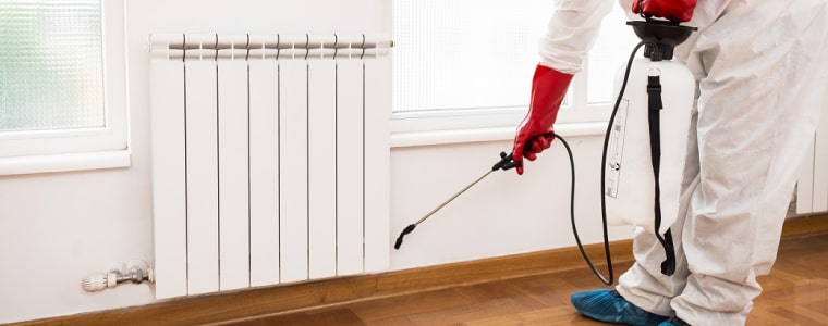 best pest-control fortitude valley